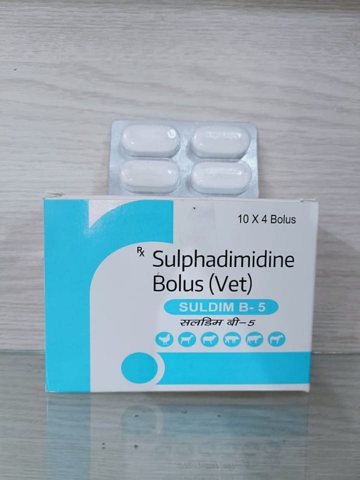 SULDIM BOLUS